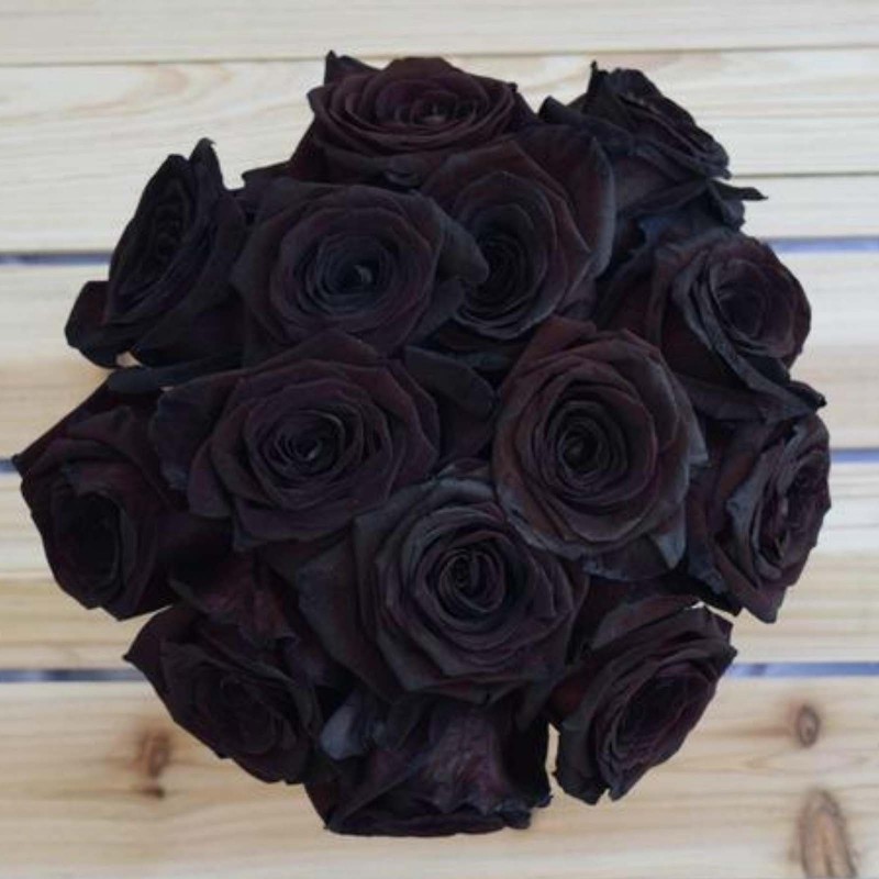 Black Rose Seeds Rare - Price €2.50