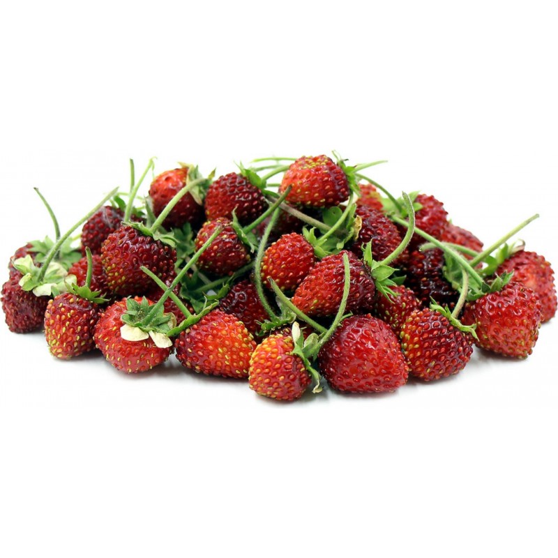 https://www.exotic-seeds.store/7162-large_default/wild-strawberry-seeds-rugia.jpg