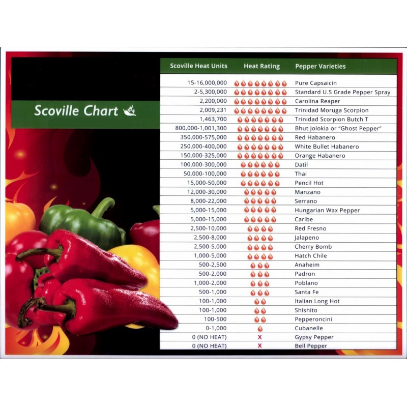 Levels of Hot Peppers & The Scoville Scale